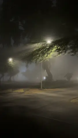 #مدينة_الاشباح 