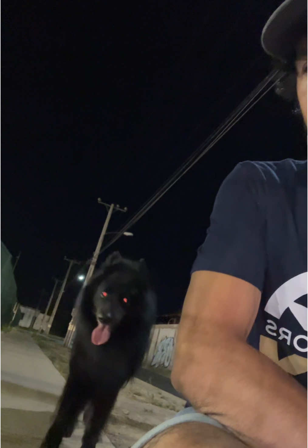 Drako #pastorbelga #groenandael #viral #foryou 