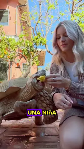 A 150-year-old turtle #animals #Foryou #Friendship #Us