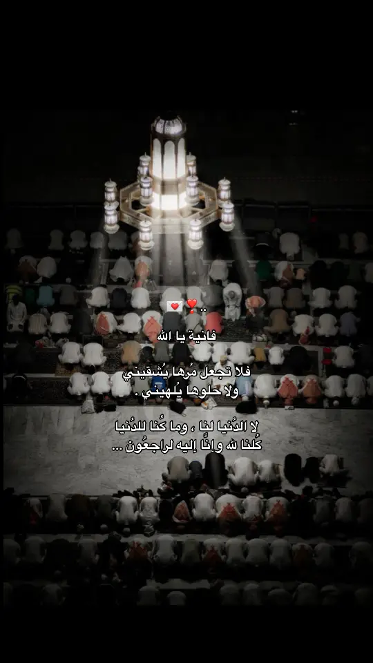 💌🤍..#يارب #الله #ذكرالله #الحمدالله_دائماً_وابدا #دعاء #الوتر #اكسبلورexplore #اكسبور #اكسبلور 