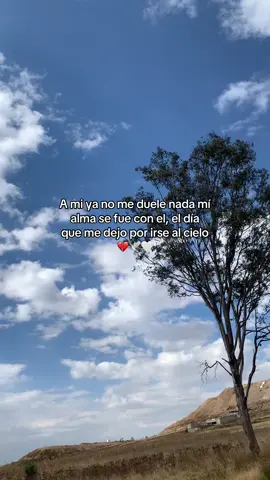 Mí cielo de colores 😞🤍🕊️#miamoreterno #micielo 