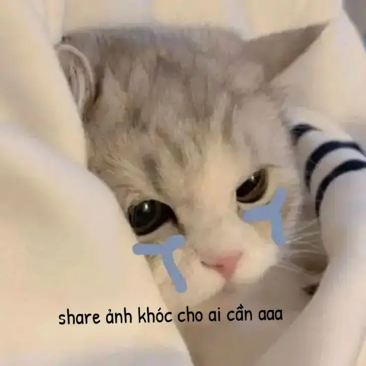 💔🖤🥀😭#anhpinterest #shareanhpinchoaicanaaa 