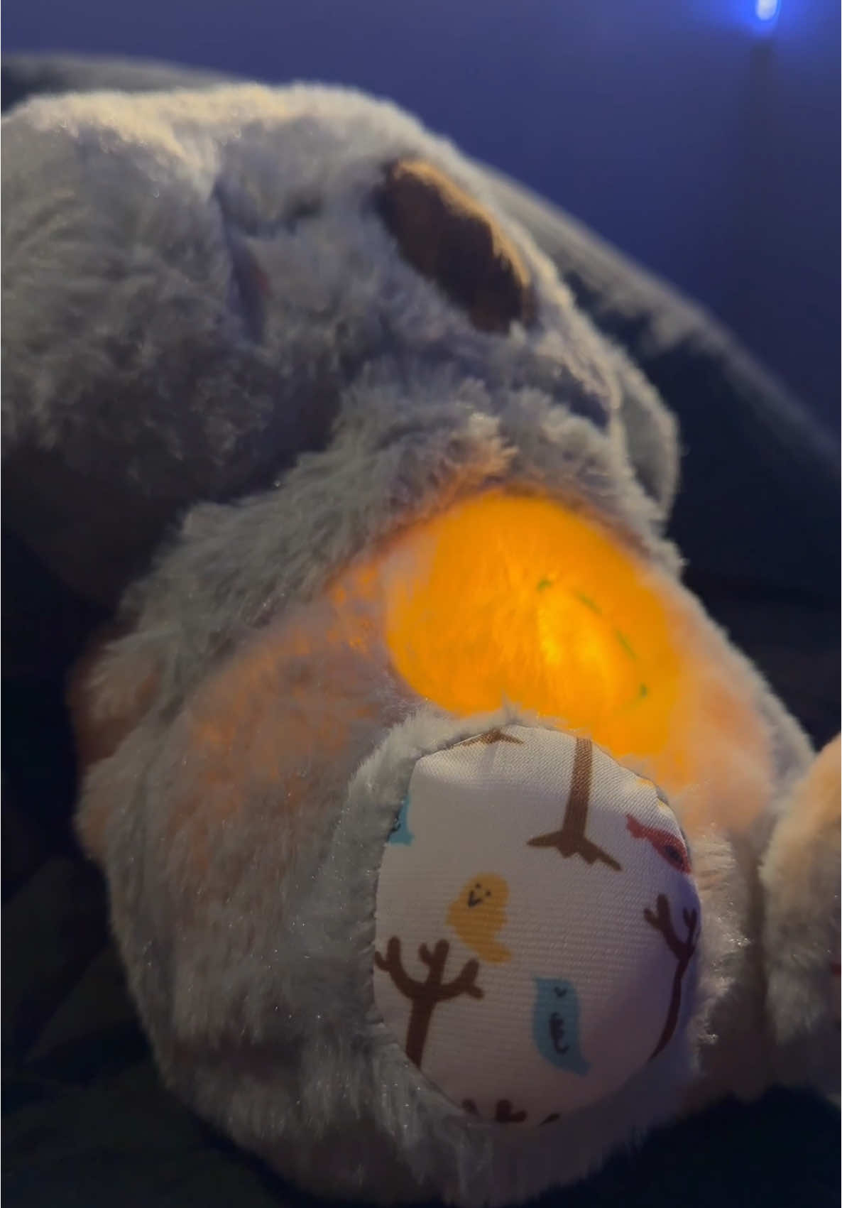 Respuesta a @Martha V. Gutierrez Koala que respira 😴💤🥱 #costarica #viral #koala #respiracion #parati #heystore 