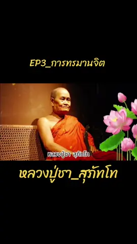 #เทรนด์วันนี้ #การทรมานจิต #หลวงปู่ชา_สุภัทโท #วัดหนองป่าพง #viralvideo #Ampol_phadunglert 