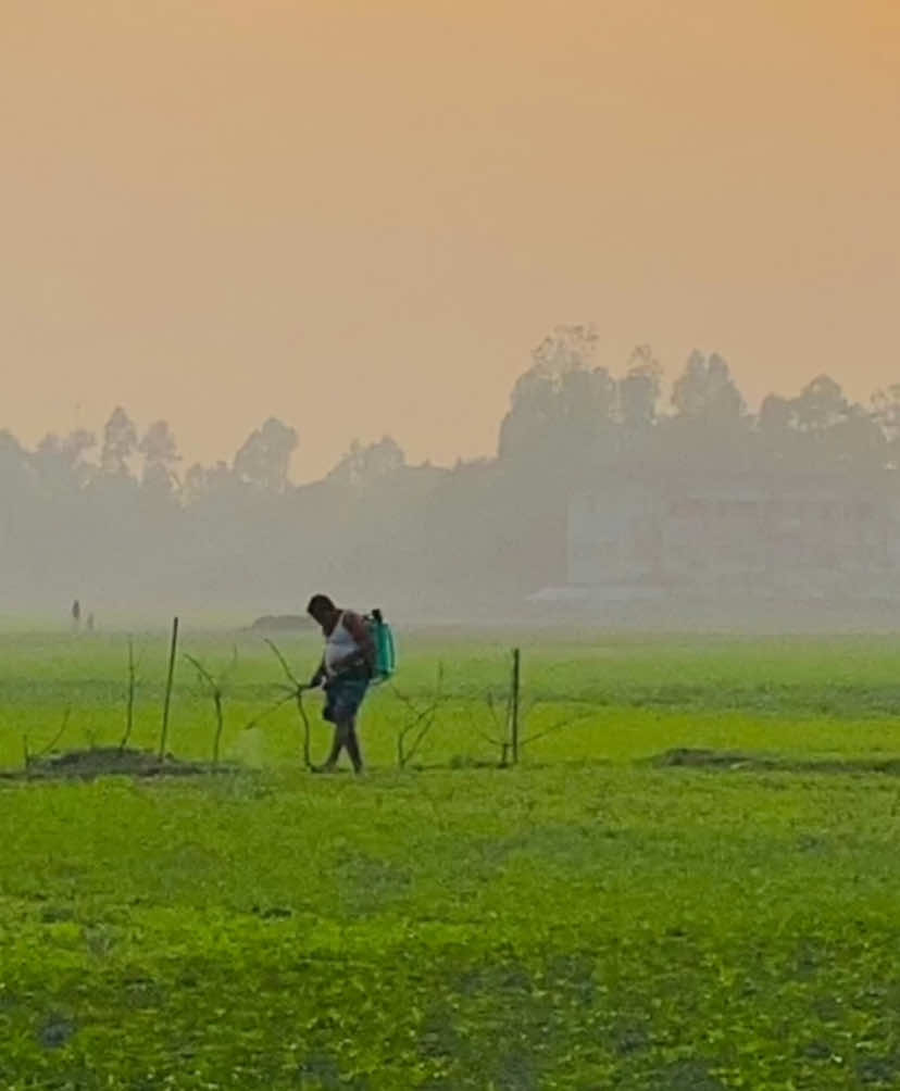 ᥫ᭡—স্বপ্ন সেটা নয় যা তুমি ঘুমিয়ে দেখো, স্বপ্ন সেটাই যেটা তোমাকে ঘুমাতে দেয় না -//🥹❤️‍🩹 #প্রকৃতি #sky #tree #fyp #fypシ #fypシ゚viralシ #unfrezzmyaccount #tiktok #shorts #song #weather #views #reels #nature #natural #scenery #foryou #trending #viral #viralvideo #sunset #village #NaYaN #NaYaN56 @TikTok @tiktok creators @TikTok Bangladesh 