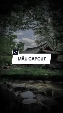 #CapCut Thuê bao quý khách không thể nghe điện thoại...#nhacchaymoingay #xuhuong #tzi01 