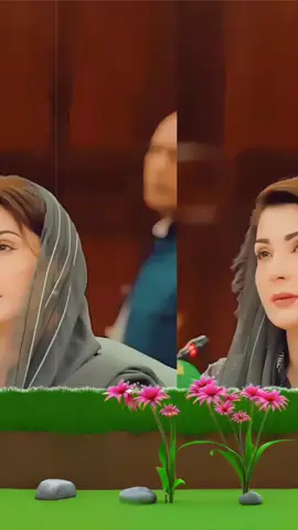 #maryam_sarkar1 #brand 