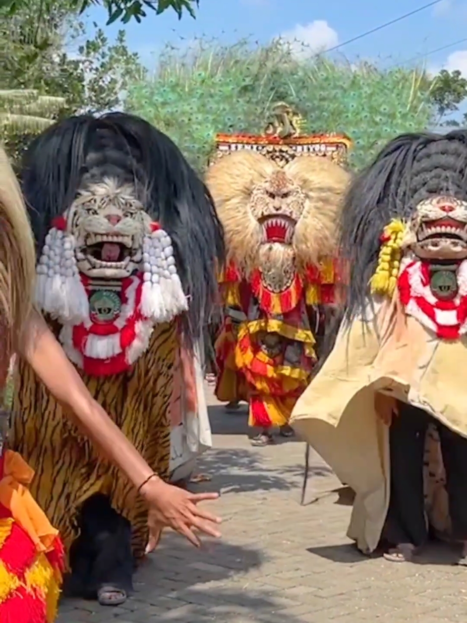 #barongan #fyppppppppppppppppppppppp #baronganblora #reels #fyp #reogponorogo 