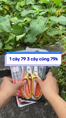 Hôm nay tiktok trợ giá nè combo 3 cây kéo sk5 nhật chỉ có 79k mọi người săn chưa #dautichcuc6789 #keosk5 #combo3caykeosk5 #keosk5nhatban #keosk579k #keocatdanangsk5 #nhacua #fyp #viarl 