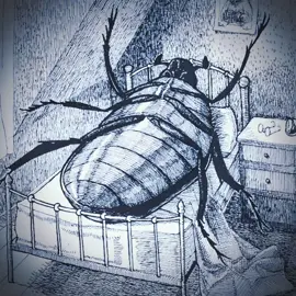 Poor Gregor #media #fiction #novel #themetamorphosis #gregorsamsa #franzkafka #classicliterature #literature #fy #fyp #foryou #xyzbca 