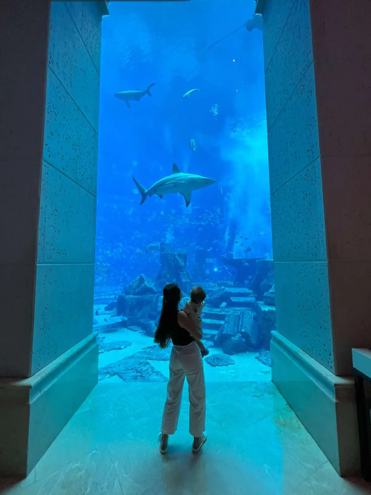 around the world #dubai #usa #hawaii #canada #banffnationalpark #pnwhikes #newyorkcity 🌍