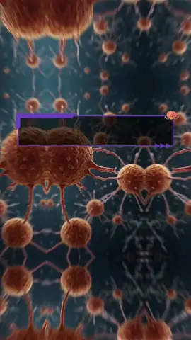 Quiz#viral #highlight #Health 
