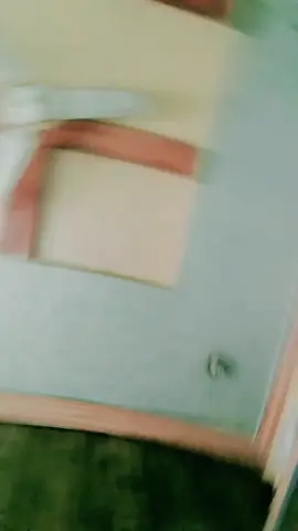 #foryou #foryoupage #onthisday #viral #fyp #on #viralaccount #viralacount🌹🌹 #pleasetiktokteamviralvideo💯 #pleasetiktokunfreezemyacount #pleasetiktokteamdontunderreviewmyvideo 