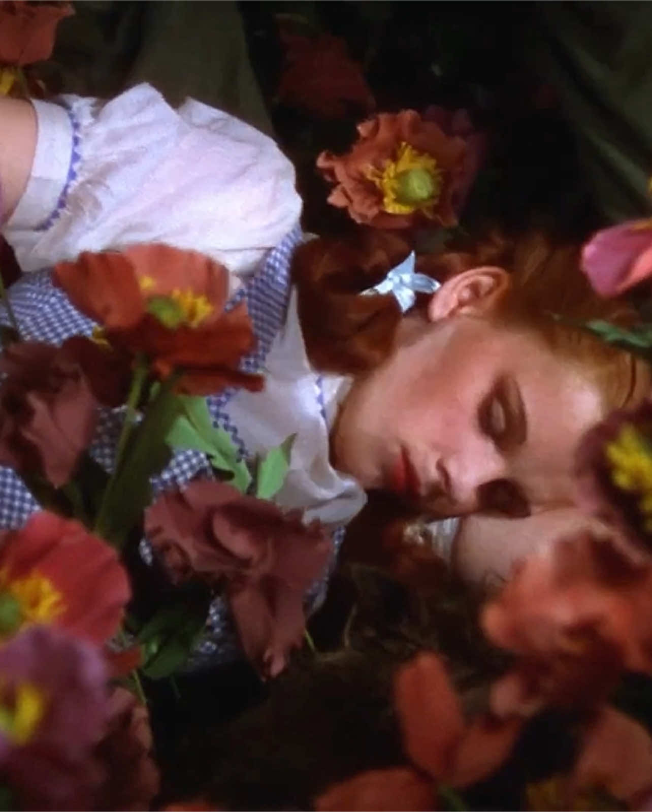 A Technicolor Dream🌈 #fyp 