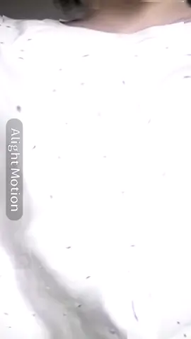 @𝐌𝐞𝐨 𝐃𝐨𝐫𝐢 🪄🤍 up || Share vid velo sẵn neee📌📌 Lấy = tim,cre nhe ( lưu = snaptik ne )  Cre đầu cap hộ t ( k cre trong bl hoặc cuối cap)  #xh #edit #velo #share #vid #velo #sẵn #viraltiktok #xuhuong #fyp  #phvy_#meodori999