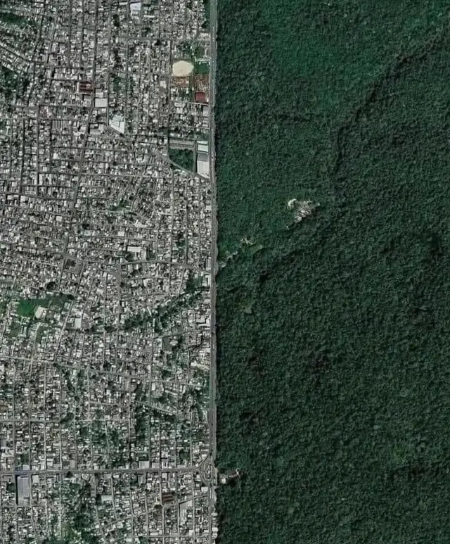 The border between the Brazilian city of Manaus and the Amazon rainforest. . #trending #fyp #interesting #amazon #viral 