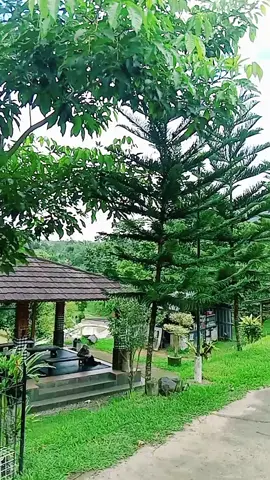 by by #wisatagunungwayang  #parakansalaksukabumi  #fyp #jangkauanluasfypviral 