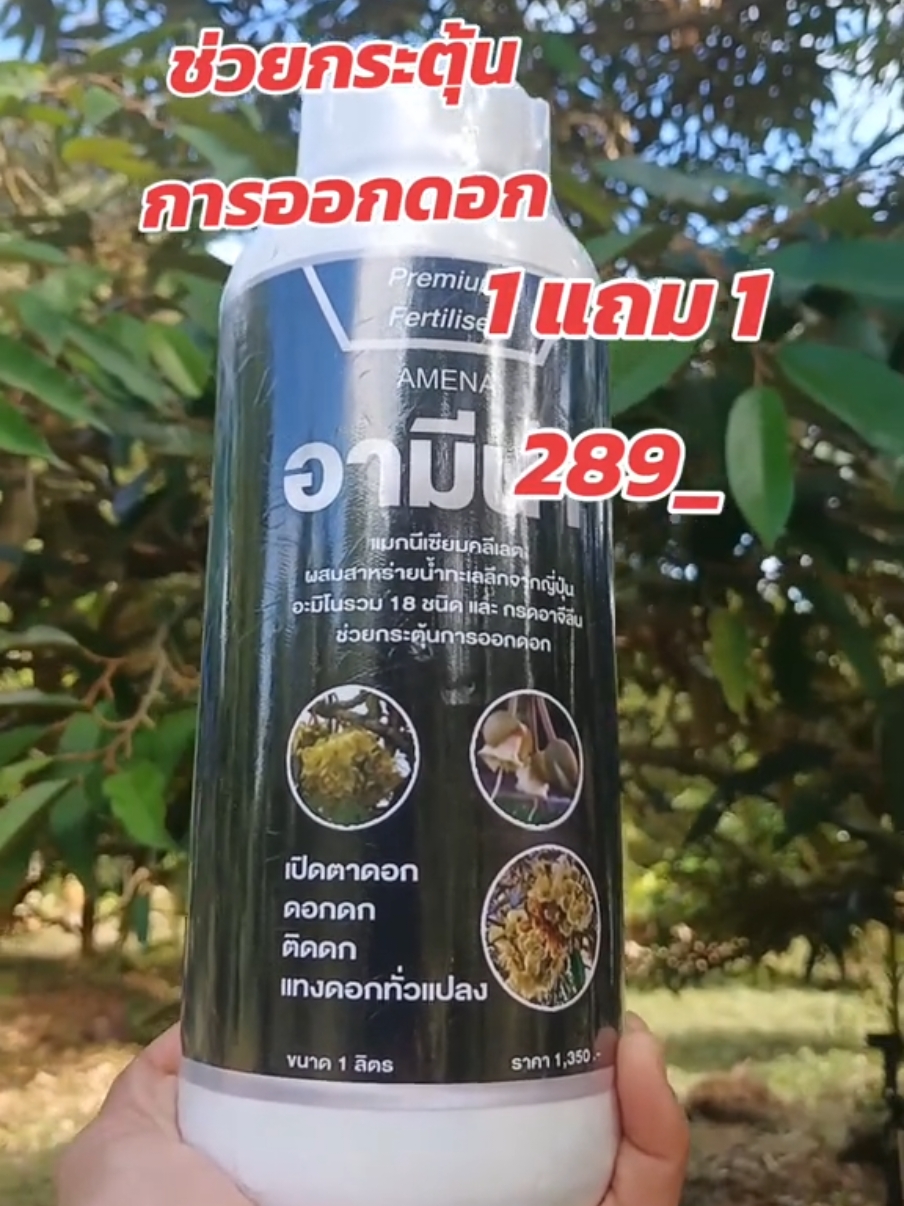 #เปิดตาดอก #กระตุ้นการออกดอก #ดอกทุเรียน #สาหร่ายพืช #ดอกทุเรียน #รีวิว #รีวิวของดีบอกต่อ #อีสาวทำสวน 