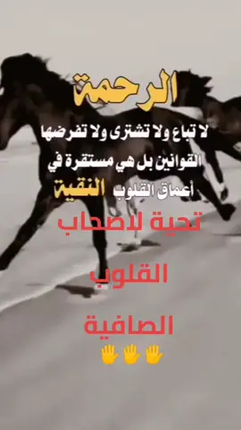 #في هذا اليوم #مصر_الكويت #ابورورو #اتفرج_على_تيك_توك #في هذا اليوم #🌹🌹🌹🌹🌹 