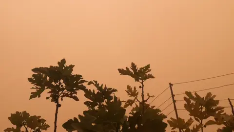 ياشوق جوي عليه غبار🙋‍♀️.#تصويري📸 #الكسبلور #طلعوهه_آكسبلور #youtube #عشوائيات #you #youtub 