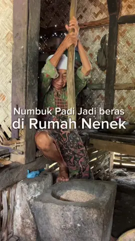 Nutu merupakan proses numbuk padi menjadi beras. Hari ini Ema Robi’ah merupakan nenek saya melakukan nutu pare.  #nenek #ema #mbah #rumahnenek #nostalgia #nostalgia90an #era90an #masakecil #jadul #jamandulu 