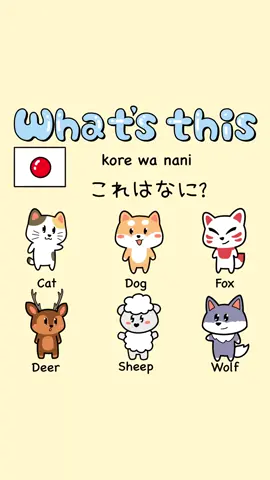 What's this?  This is___ Japanese😻🩷 これはなに？　これは___ . Follow @Dokidokicomics for more content. . Want to learn Japanese with our adorable books? 🇯🇵 📚😻 ⛩The link in bio! 💛Romaji included only for KANA book. . . . . #japanese #learnjapanese #nihongo #japaneselesson #japanesebook #studyjapanese #grammar #vocabulary #what #animal 