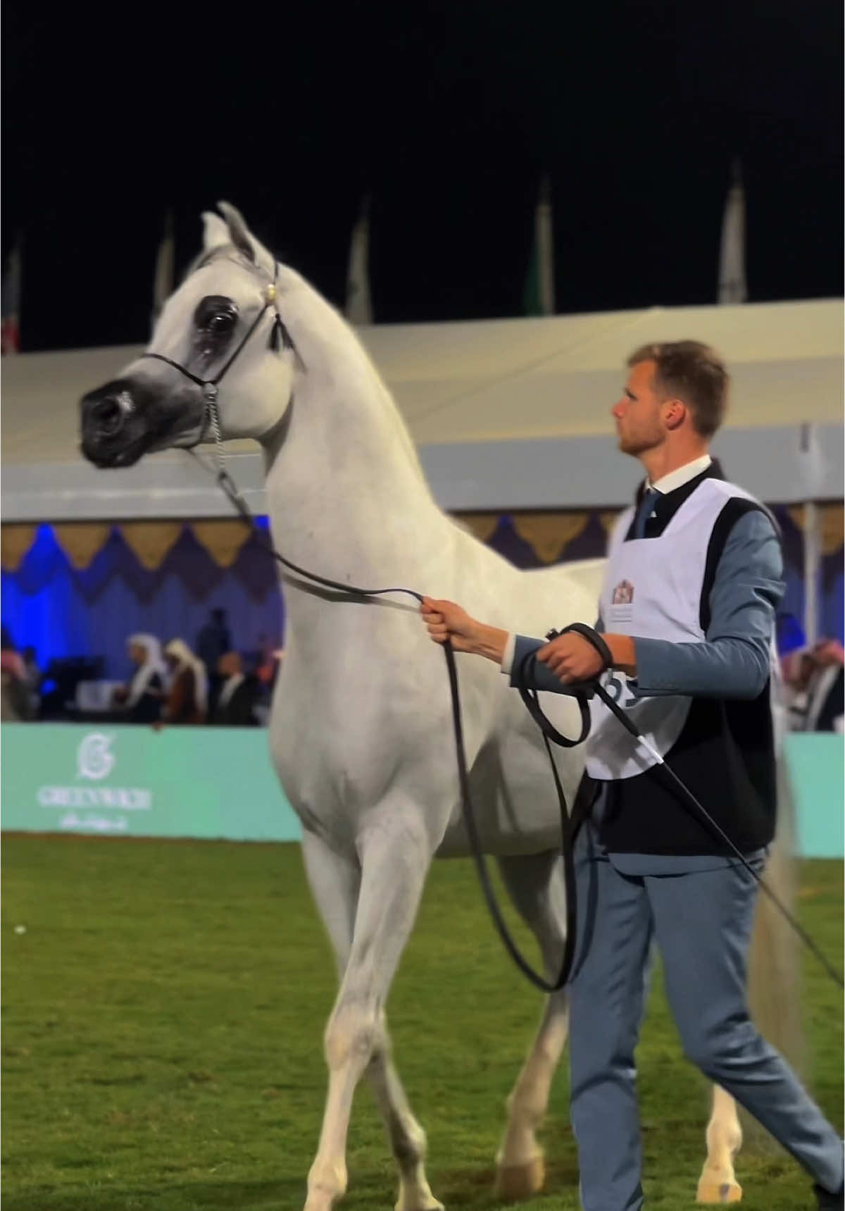 ماشاءالله تبارك الرحمن 🐎🤍. #سلطان_التنهاة #العرض_الدولي_السابع_لجمال_الخيل #الرياض #اكسبلورexplore #خيل_وخياله🐎 #