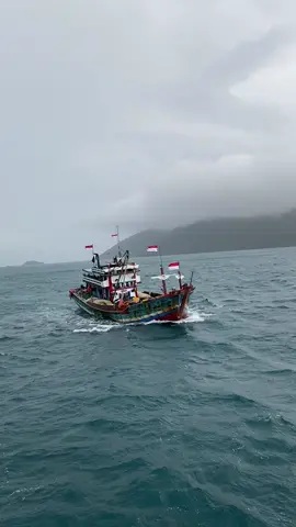 #nelayantiktok #pejuangrupiah #fyp #nelayanjuwanapati #cantrangjuwana #cantrangrembang #cantrangjuwanapati #berandatiktok #fypシ゚viral #tiktokviral 