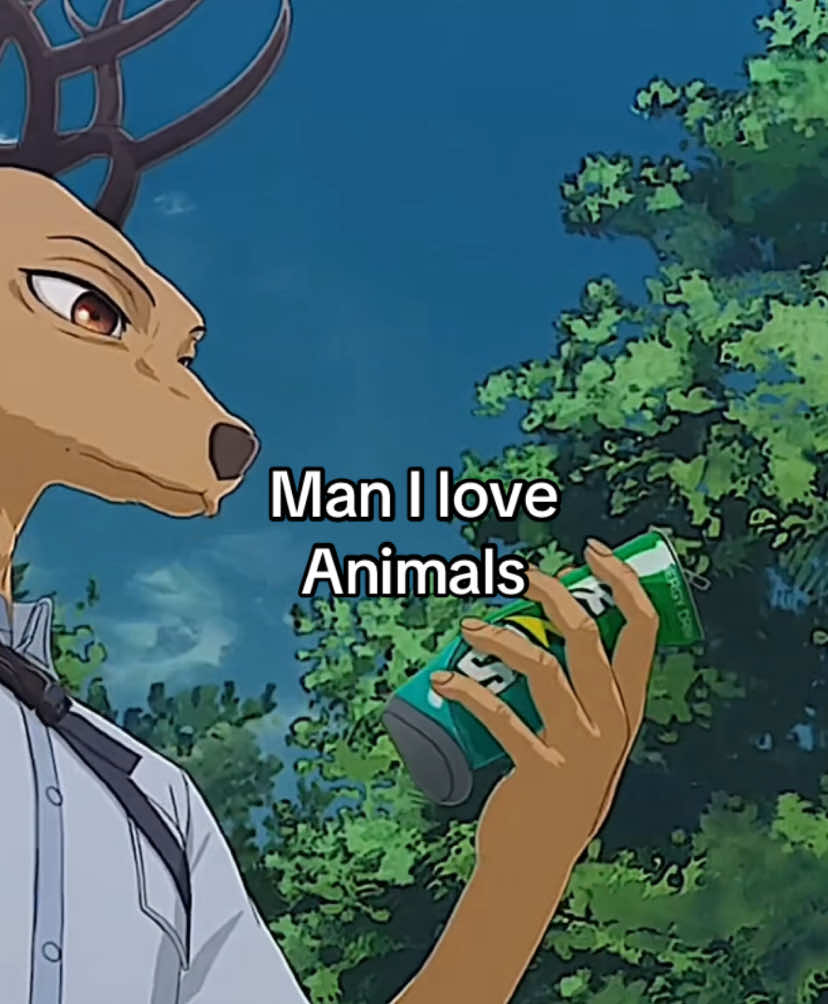 Damn i love beastars 🐾 #beastars #beastarsfinal #legoshi #gohin #gosha #yahya #melon #fy #fyp #perte #anime #animeedit #goviral 