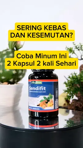 Sekarang Udah Ga Kesemutan Dan Kebas Lagi deh 🥰 #semdifit #kapsulsendifit #sendifitkapsul 
