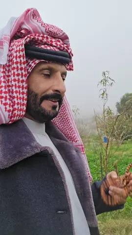 #السعوديه #جده #مشاهدات ##اكسبلور 