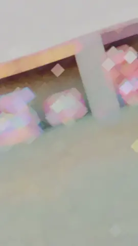 ✌️✌️✌️✌️✌️🚩🚩🚩🚩🚩✌️✌️✌️✌️✌️✌️✌️✌️✌️✌️✌️✌️✌️✌️✌️✌️✌️🚩🚩🚩🚩