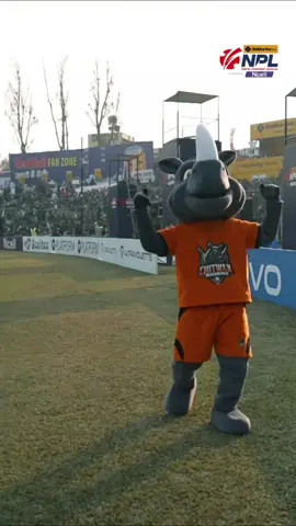 Chitwan Rhinos 🔥 #ronb #npl #cricket #sports 