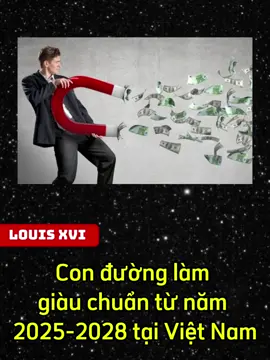Con đường làm giàu chuẩn từ năm 2025-2028 tại Việt Nam #louisxvi #xuhuong #fyp #viral #vnindex 