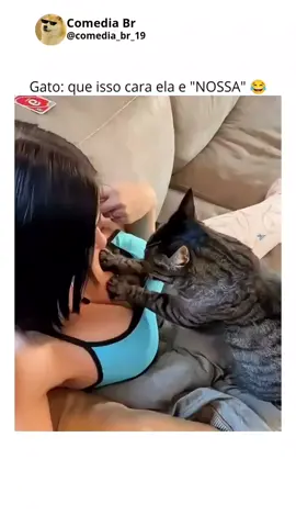 gatos engraçados #gatos #gatosengraçados #catsoftiktok #comedia #pets #animais #meme #foryoupage❤️❤️ 