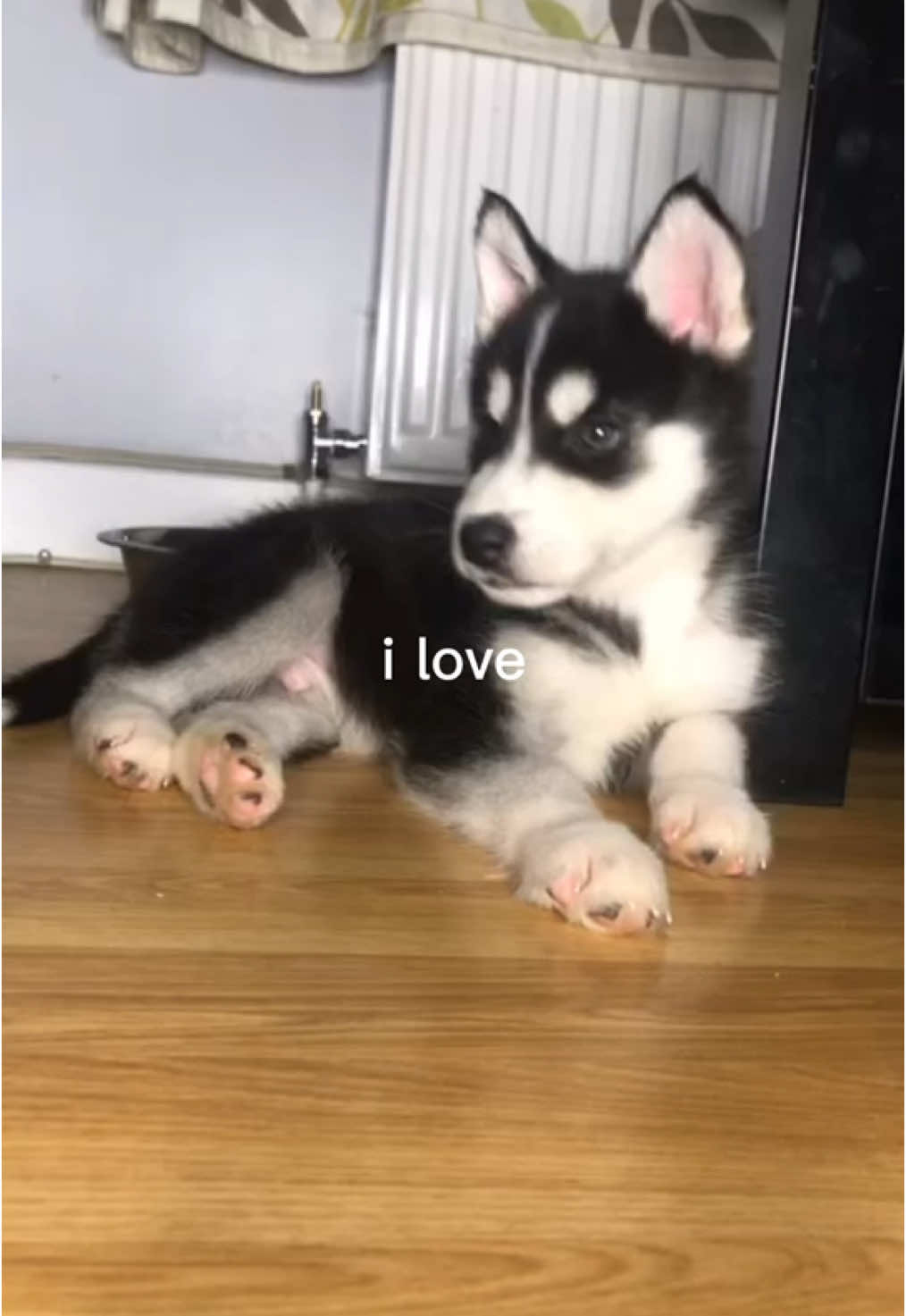 my best friend till the day i die, love my oden forever🥺❤️