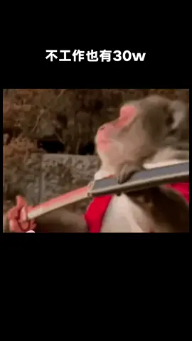 疑似10月再對我致命一擊 #週週小可愛 #打工人 #工作 #綜藝 #推 #推薦 #我要上推薦 #variety #fy #fyp #foryou #foryoupage #iqiyi