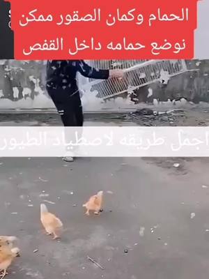 مجربة وعليها ضمان أكثر من. 2500 عملية شراء