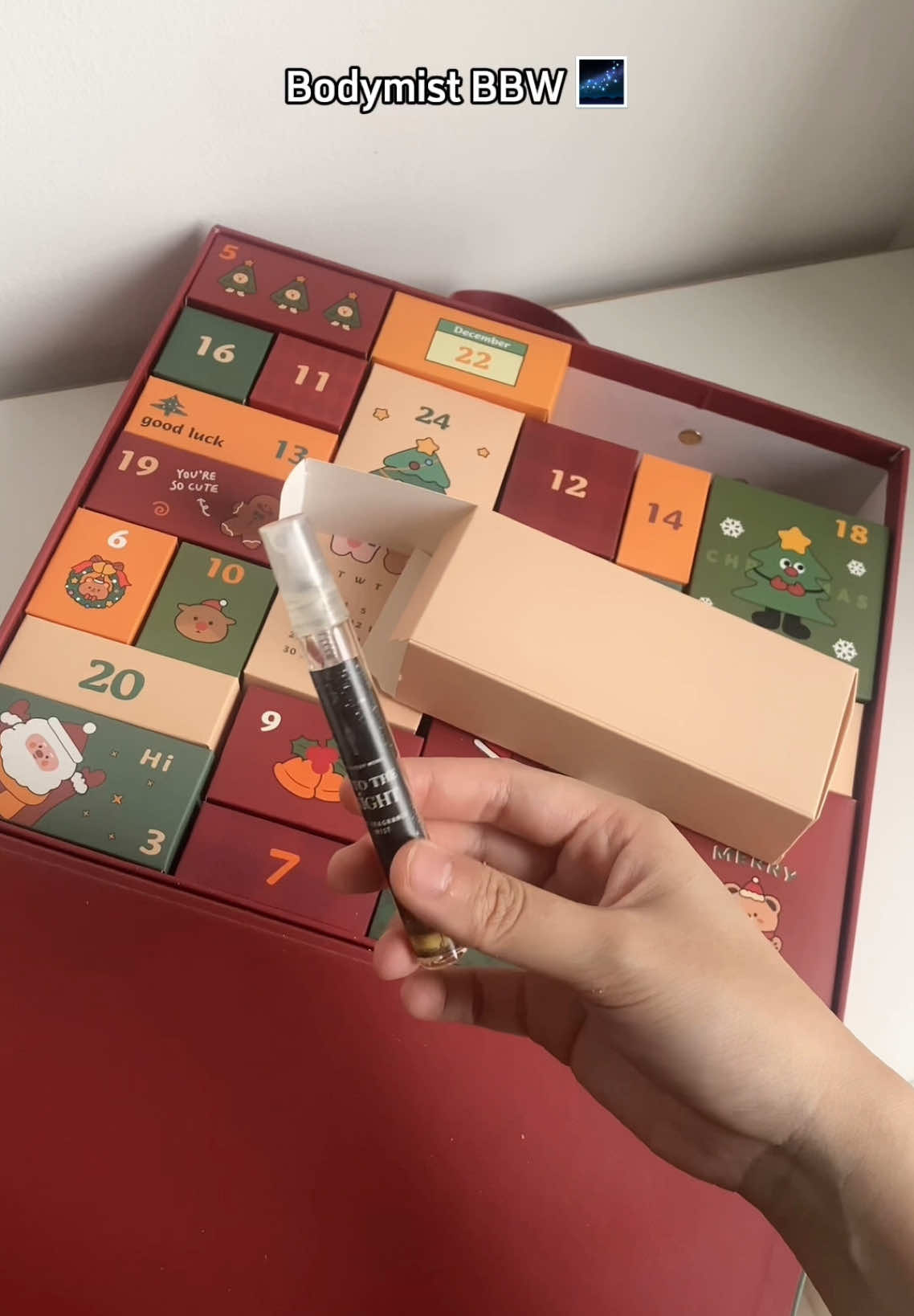 Anh à em bé muốn được tặng quà giáng sinh 🎄🎁 #bloomybunnie #giangsinh #quagiangsinh #christmas #unbox #blindbox #adventcalendar #noel #quanoel #xmas #quatang #quachonguoiyeu #quachobangai #quatangnguoiyeu #quatangbangai #viral #fyp 