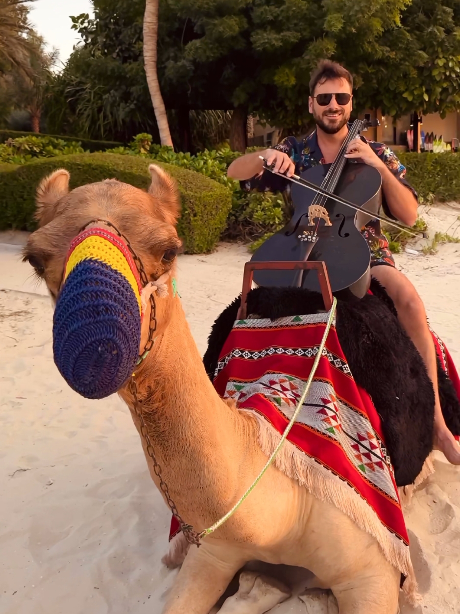 I met my new friend on the beach and asked if she wants to do a collab post 😜🐪 She said she likes the sound of cello! 🎻