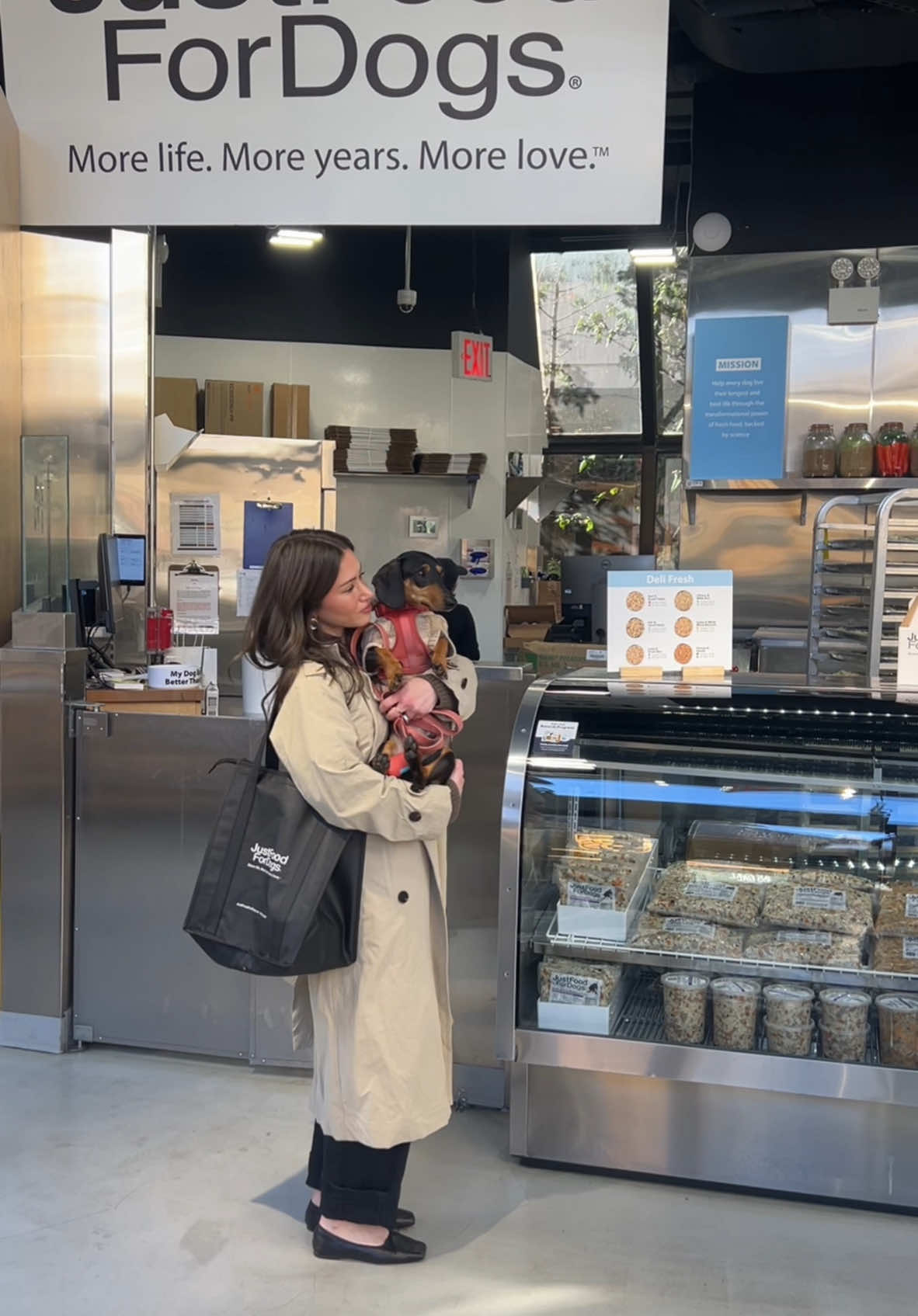 Winston is a star!! He spent the morning at the @JustFoodForDogs kitchen in nyc taste testing a bunch of their fresh frozen dog food. shop JustFoodForDogs at the link in my bio and get 50% off today! #dogs #Vlog #justfoodfordogspartner