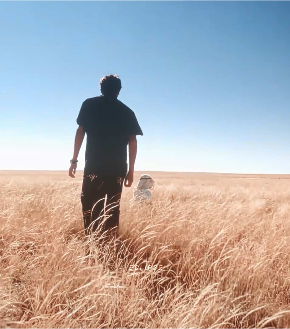 Breaking Bad is the best series OAT ‼️ || #walterwhite #jessepinkman #breakingbad #edit #fyp 