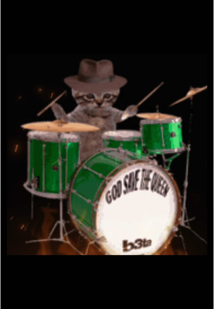 RAAAHHHH #catcore #slipknot #catedit #eyeless #rock #metal #breakcore #catsoftiktok #foryou #fyp #sillycat 