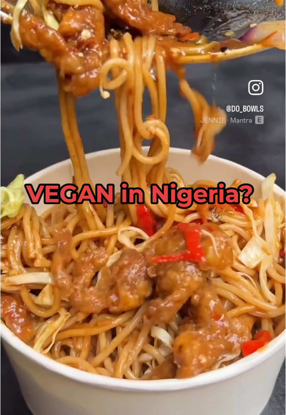 Do we make food with meat or vegan food?  🌶️NA COLLABO!🌶️ Check out our 🥗vegan 🥗 menu on chowdeck it just as good as the rest of our menu. We even have vegan burritos as well! ❤️ #veganinlagos #nigerianvegan #vegannigerian #lagosfoodie #dobowls #lagosrestaurants #nigerianfood 
