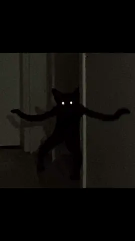oh non horreur 😱 #dankmemes #catmemes #chat #brainrot #humour #offlain #horreurtiktok 