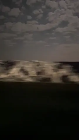 #محمد_ابن_الذيب #قصيد #شعر #fyp 