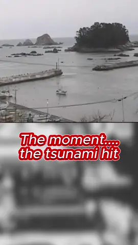 The moment .... the tsunami hit #viral #fyp #fypシ゚viral #usa #foryou 