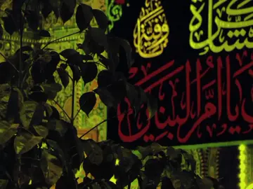 الجـزء 23 | رَبيتي نعم التَربيَة يَا هالوَفيَة ،🌿🖤#اسشتهاد_ام_البنين  #ام_البنين  #قصائد #ياحسين #الأمام_الحسين_عليه_السلام #بعيوني_وجودك_الدنيه_كلهة_حسين #شور #الطور_النجفي #اللهم_لك_الحمد_ولك_الشكر  #لقطة_فائقة_الثبات  #اللهم_عجل_لوليك_الفرج #اللهم_صل_على_محمد_وآل_محمد #fyppppppppppppppppppppppp #foryou #fyp #الشعب_الصيني_ماله_حل😂😂 #اللهم_لك_الحمد_ولك_الشكر 