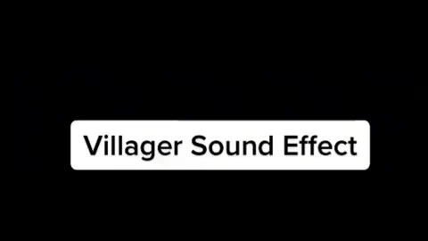 #stalker2 wards sounding like minecraft villiagers 😂 #pc #pcgaming #game #gaming #Minecraft #meme 