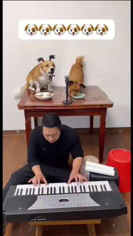 🐶🐶🐶🐶🐶🐶#foryoupage #foryou #fyp #viral #viralvideo #tiktok #satisfyingvideo #asmri  #TikTok - #TikTokCommunity - #TikTokFam - #TikTokDance - #TikTokComedy - #tiktokmusic * - #TikTokArt - #TikTokCreativity #TikTokDesign * - #TikTokFashion - #TikTokBeauty - #tiktoktravel * - #TikTokGaming - #TikTokGamers - #TikTokEsports * - #TikTokLearn - #TikTokEducation - #TikTokKnowledge - #SprayPainting - #StreetArt - #GraffitiArt - #UrbanArt - #MuralArt - #SprayPaintArt - #ArtWithSprayPaint - #SprayCanArt - #SprayPaintingInspiration - #SprayPaintingIdeas - #SprayPaintingDesigns - #SprayPaintingPatterns - #SprayPaintingColors - #SprayPaintingEffects #SprayPaintingTips - #SprayPaintingTricks - #AbstractSprayPainting - #GeometricSprayPainting - #PortraitSprayPainting - #LandscapeSprayPainting - #PopArtSprayPainting - #SurrealistSprayPainting - #SprayPaintingOnWood - #SprayPaintingOnCanvas - #SprayPaintingOnWalls - #SprayPaintingOnFurniture - #SprayPaintingOnShoes - #SprayPainting - #StreetArt - #GraffitiArt- #UrbanArt- #MuralArt - #SprayPaintArt - #ArtWithSprayPaint - #SprayCanArt#SprayPaintingInspiration #SprayPaintingIdeas - #SprayPaintingDesigns - #SprayPaintingPatterns #SprayPainting Colors - #SprayPaintingEffects #SprayPaintingTips - #SprayPaintingTricks - #AbstractSprayPainting #GeometricSprayPainting - #PortraitSprayPainting - #LandscapeSprayPainting - #PopArtSprayPainting - #SurrealistSprayPainting #SprayPaintingOnWood - #SprayPaintingOnCanvas - #SprayPaintingOnWalls - #SprayPaintingOnFurniture - #SprayPaintingOnSh - #UK- #British， #UKLife, #British - #Germany - #German, #Germany #German - #Italy - #Italian, #ItalyLife, #Itali - #Spain - #Spanish, #SpainLife, #Spani - #USA -#USALife, #American - #Canada - #Canadian, #Canada - #Mexico - - #Brazil - #Brazilian, #BrazilLife, #BrazilianCulture - #Argentina - #Argentine, #ArgentinaLife, #ArgentineCulture - #Chile - #Chilean, #ChileLife, #C - #SouthAfrica - #SouthAfrican, #SouthAfricaLife, #SouthAfricanCulture - #Nigeria - - #Egypt - - #Australia - #Australian, #AustraliaLife, #AustralianCulture - #Newzealand - #Newzealand, #NewzealandLife, #NewzealandCulture- #ASMR - #Relaxation - #CalmingSounds - #Whispering - #Tapping #PersonalAttention - #RolePlay - #Triggers - #SleepAid views #PageTurning- #PenTapping- #HairBrushi #Crinklin-- #FYP-#ForYouPage-#Viral - #Trending - #Challenge - #Dance - #LipSync - #Comedy - #Entertainment - #Funny - #ViralDance - #TikTokFamous.   #Going Viral - #TrendingNow - #ViralChallenge - #InstantRegret - #SatisfyingVideos - #LifeHacks - - #ASMR #AutonomousSensoryMeridianResponse - #Relaxation - #CalmingSounds - #Whispering - #Tapping - #Triggers - #SleepAid - #TappingSounds #CrinklingSounds - #WhisperingSounds - #PageTurning - #PenTapping - #HairBrushing - #NailTapping - #HandMovements - #FingerTapping - #LipMovements - #EyeContact #FacialExpressions - #MakeupApplication - #PersonalShopping - #SpaDay - #Triggers - #SoundTriggers - #VisualTriggers - #TactileTrigger - #PersonalAttentionTriggers * - #Relaxing - #Calming - #Soothing - #Sleepy - #Chill - #ASMRCommunity - #ASMRFamily - #ASMRSupport - #ASMRLove - #ASMRFriends - #CapCut 